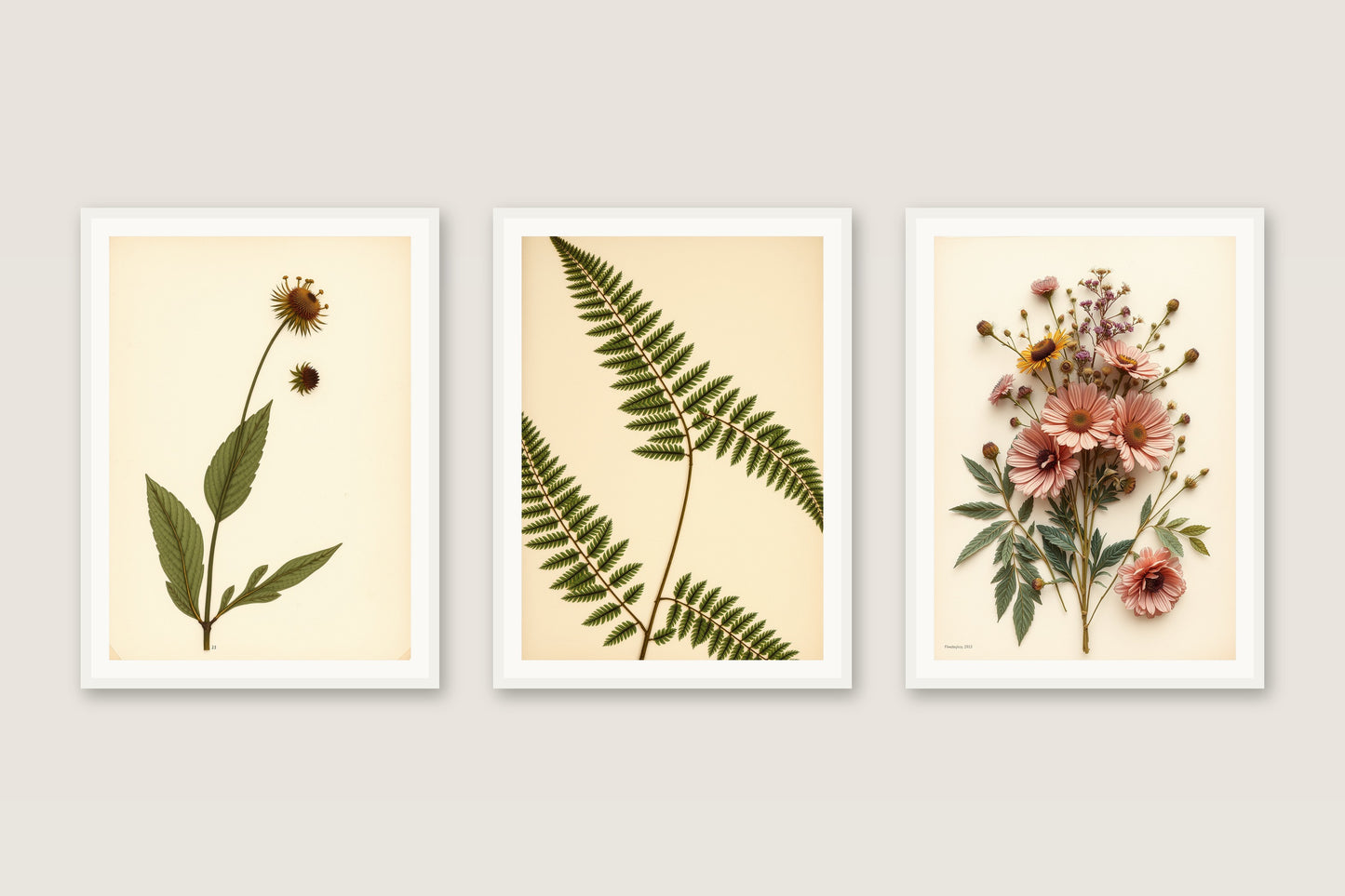 Pressed Wildflowers — Gallery Trio